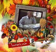 الشاعر المصرى