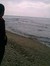 Wisnu N...