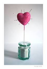 أديبة أبوقر