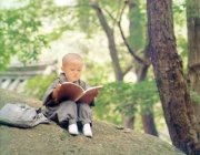Vương Bắc Đại