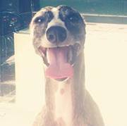 Aleksandra Ilijevski