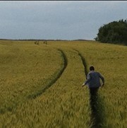 Verney Van der sluys