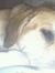 Amy