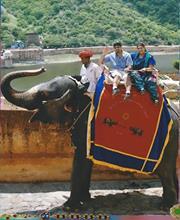 Shawn Dholakia-kisnad