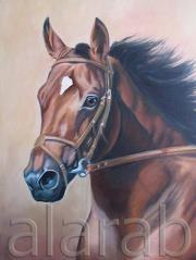 العربي جاليري