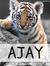 Ajay Meena