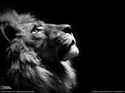 Manpreet Singh