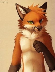 Sigma Fox