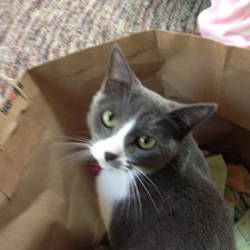 Julia Maresca McCarter