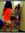 Ruby oliver | 22 comments