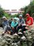 Anggit ...