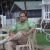 Vivek Acharya