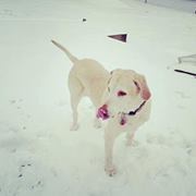 Amy Bravis-cunningham