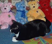 Nancy Merrithew stitham