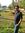 Naeem C...