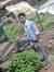 Prateek...