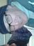 Tim Hol...
