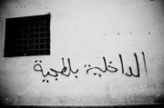 Mostafa Ali