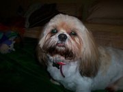 Avis Reece-hightower