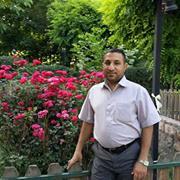 حسن الربيعي