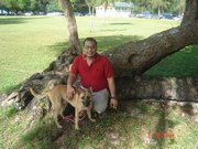 Glenn Mejorada