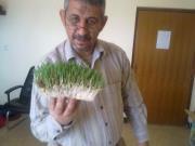 حازم العبيدي