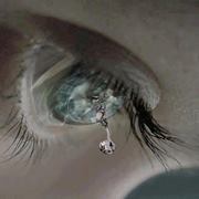 شاكر نواصره