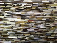 Lucy (why do I bother to read chicklit)