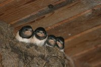 Gerda Stuive-verkuil