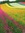Rawan | 5 comments
