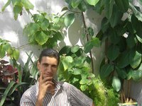 ابو محمد
