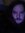 Nicholas Zwarton iii | 11 comments