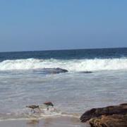 Marilyn Lambert smith