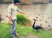 Dilshan Samarasinghe