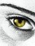 Marwa N...