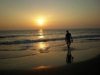 ইমরান হোসেন