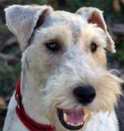 Suzanne Frederickson