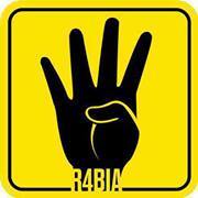 عماد الشاعر