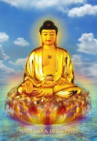 Quảng Thảo