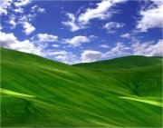 د.اسماعيل ابراهيم
