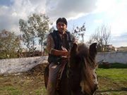Vijay Rajput