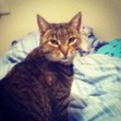 Lucy
