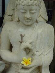 Nina Loebenberg bisson