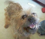 Liz Rader-marczewski