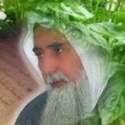 الدرة النوارنية