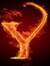 Yasir I...