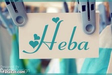heba elhadary
