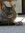 Lisa Weaver | 4 comments