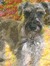 Josu01