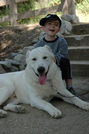 Անժելա Բարսեղյան